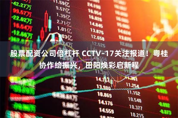股票配资公司倍杠杆 CCTV-17关注报道！粤桂协作绘振兴，田阳焕彩启新程