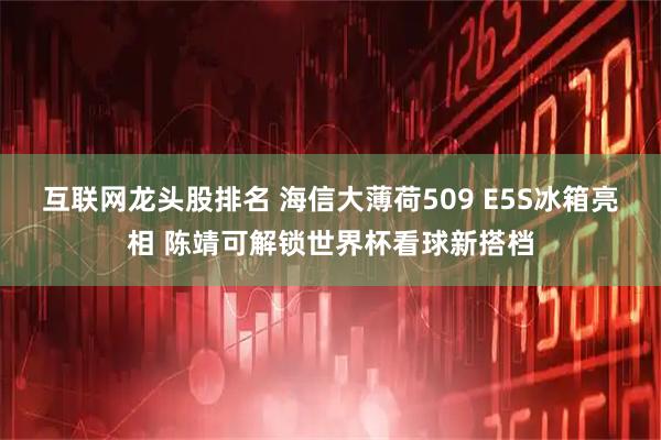 互联网龙头股排名 海信大薄荷509 E5S冰箱亮相 陈靖可解锁世界杯看球新搭档