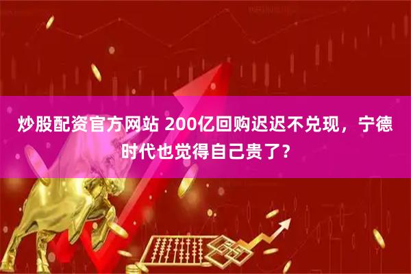 炒股配资官方网站 200亿回购迟迟不兑现，宁德时代也觉得自己贵了？